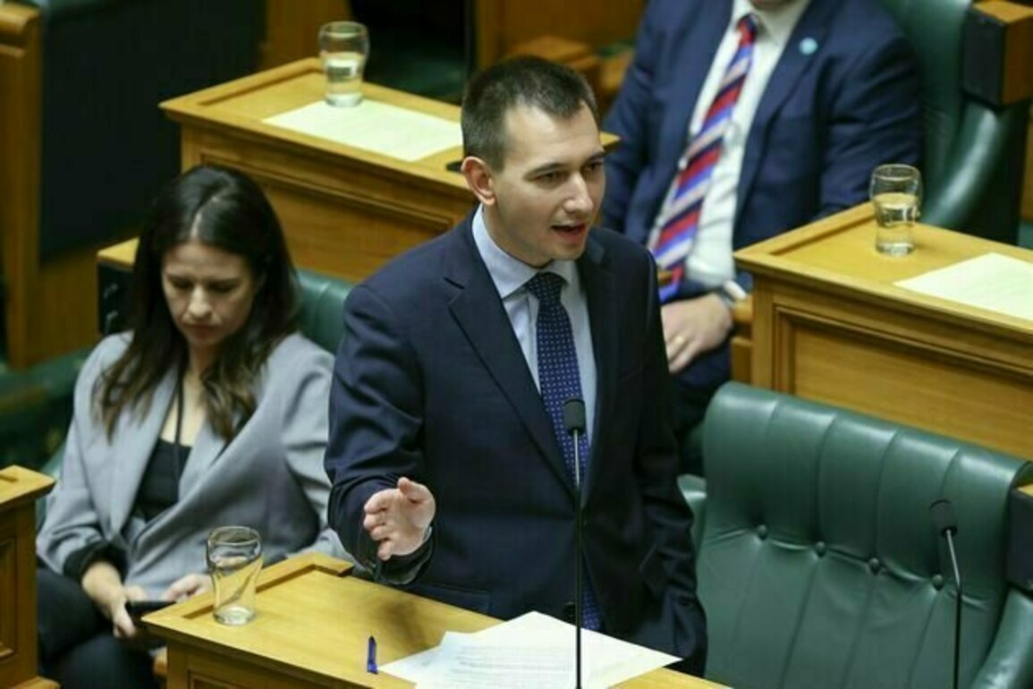 NZ Budget 2025: anything less than a 5% increase in health funding amounts to merely standing still