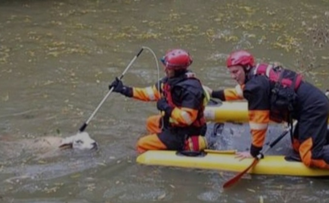 Crews at the scene to save a sheep which had managed to get itself stuck in a canal (Leicestershire Fire and Rescue Service)