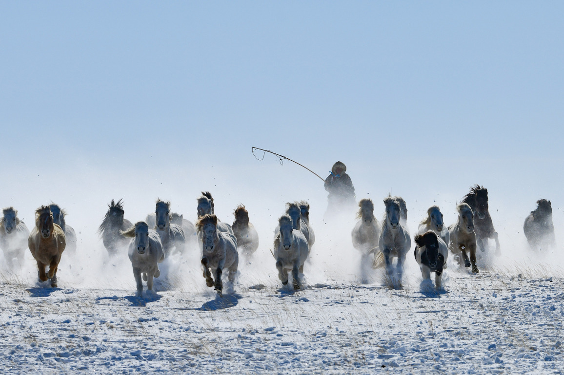 #CHINA-INNER MONGOLIA-XILINHOT CITY-HORSE TRAINING (CN)