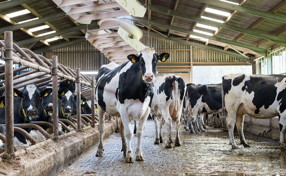 Slurry processing can improve water quality and nutrient use