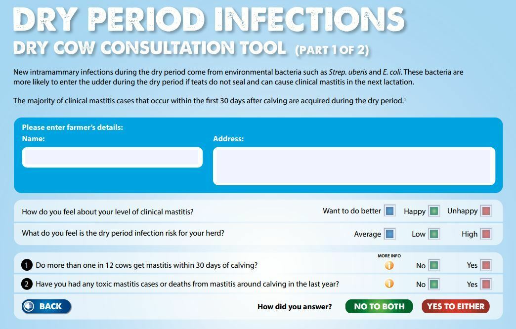Dry period infections