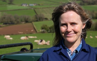 In your field: Kate Beavan - "The long, hard lambing season has finally finished"
