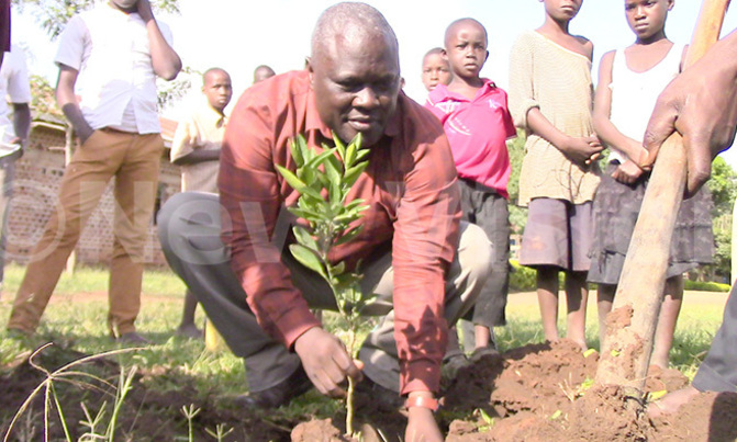 Laziness causing poverty in Busoga - Minister Laziness causing poverty in Busoga - Minister