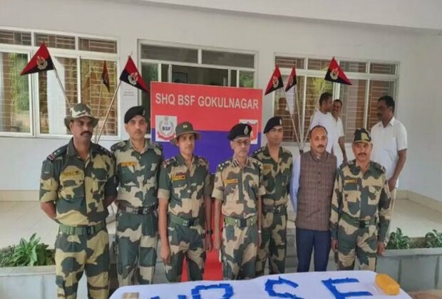 Fresh ganja cultivation on forest land near Indo-Bangladesh border cause of concern: BSF