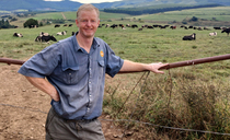 South African dairy farm plans to up cow numbers