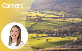 Opinion: I've been a translator, florist and digital project manager, but agriculture is my calling