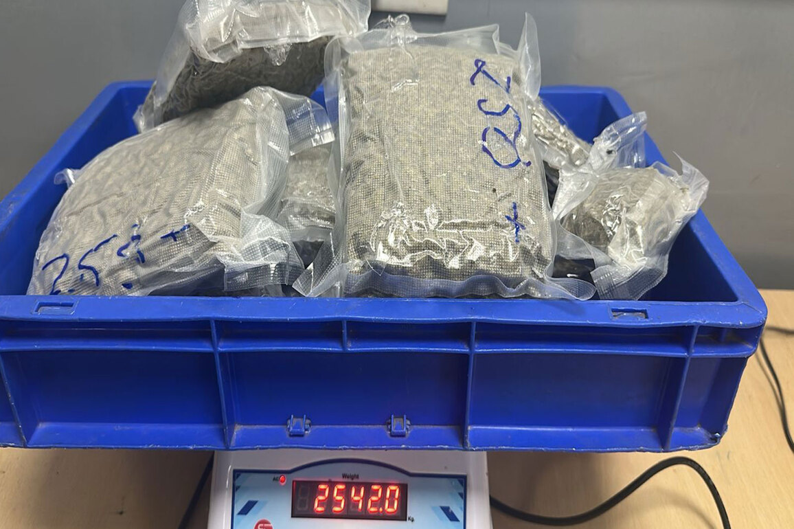 Delhi Customs seizes over 2.5 kg of hydroponic weed at IGI Airport