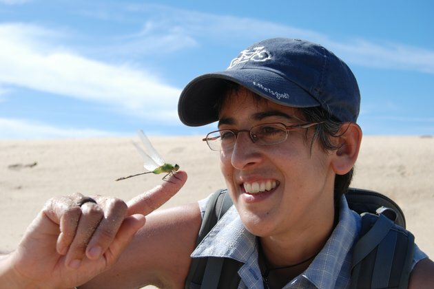 Farmers Benefit from Having Nature Nearby, Research Shows