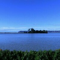 Rising seas threaten to swallow one of NZ's oldest settlement sites - new research
