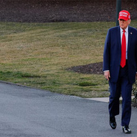 Trump pauses military aid to Ukraine after Oval Office clash with Zelenskyy: Reports