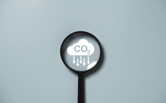 'Bankable projects': Is the UK about to pioneer a business model for carbon removal projects?