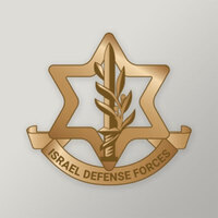 Israeli forces eliminate Gaza terrorist who violated ceasefire line
