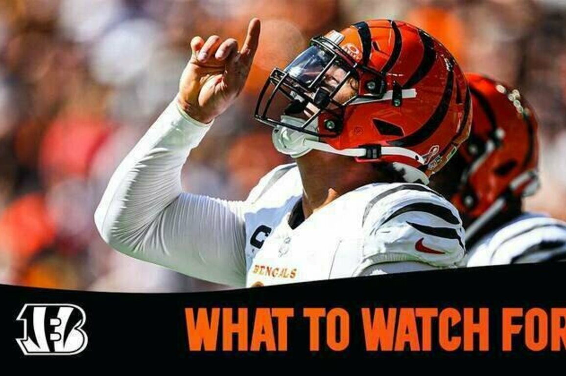 What to Watch For | Jaguars vs Bengals Week 2