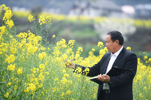 CHINA-GUIZHOU-RICE EXPERT-FIELD RESEARCH (CN)