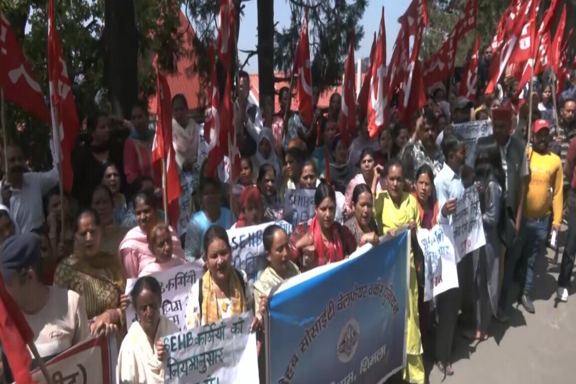 Over 900 Shimla sanitation workers go on strike, demanding restoration of a 10 per cent wage component