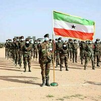 Somaliland's 30-year quest for recognition: could US interests make the difference?