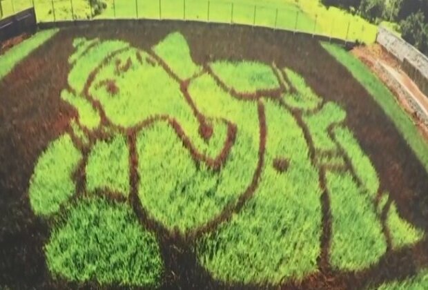 Agriculturist creates Black Eagle, Ganesha in paddy fields through Japanese Tambo Ato