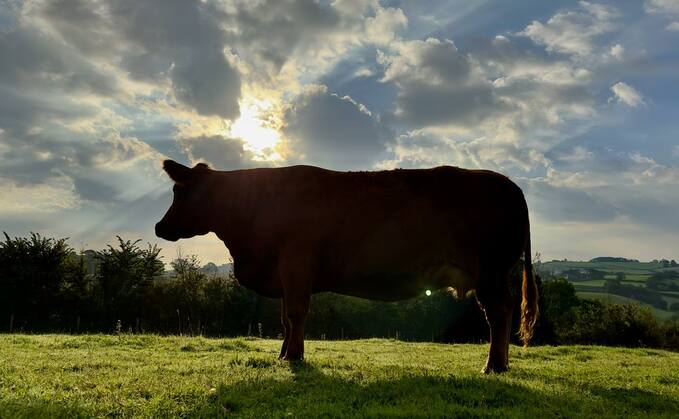 The series hopes to open conversations about the challenges farmers face on a daily basis and how consumers can support them