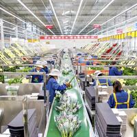 Fresh flowers from inland China hit Central Asian market