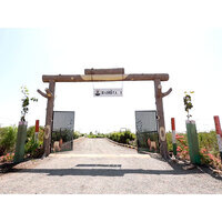 Namo Van: Million trees transform Gujarat's Morbi into green oasis