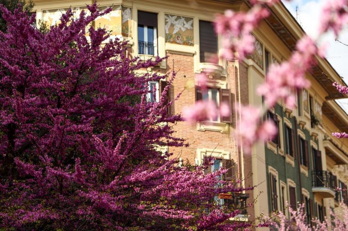 Spring celebrated in Europe via various activities