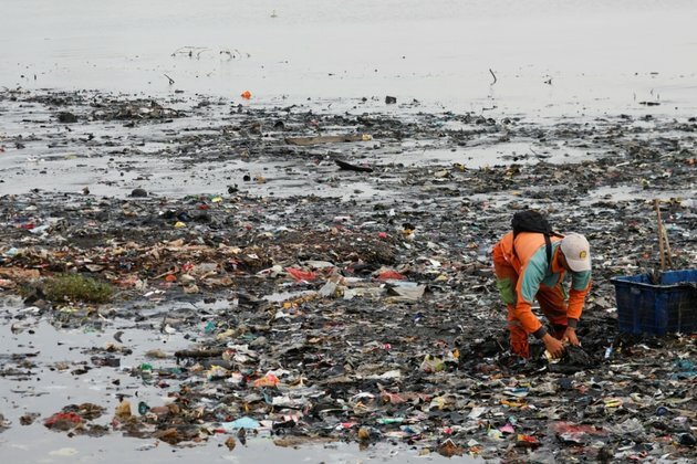 Australian researchers plan new generation of biodegradable plastic