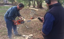 Battery-powered chainsaws reviewed