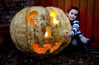 Jewson and the giant pumpkin