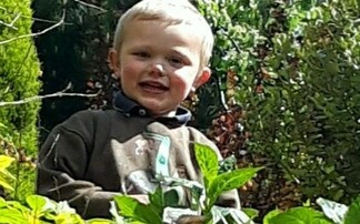 'Brave' three-year-old killed by 'dangerous' dogs on-farm