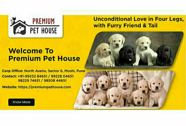 Popular Dog Breeders Premium Pet House And BestForPets Part Ways