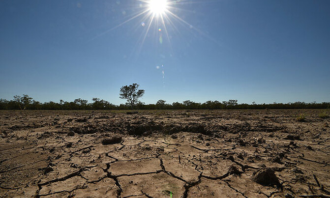 Climate change will cut crop yields - study Climate change will cut crop yields - study