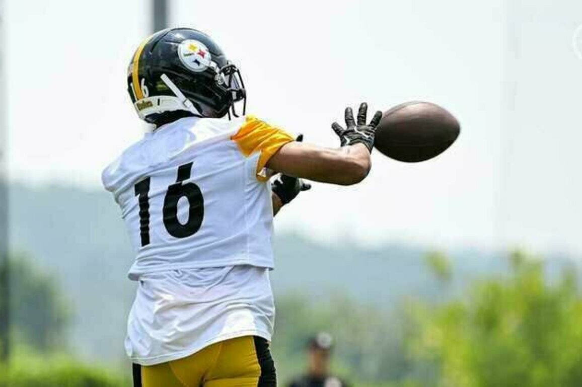 Camp Blog: Settled in