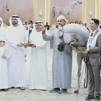 Dubai Stud's D Seraj wins top honours at Dubai International Arabian Horse Championship