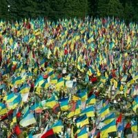 Ukraine needs people not weapons - MP