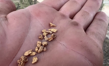 Nuggets from the Turner prospect at Christmas Creek