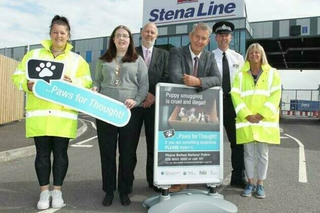 Poots launches new campaign to help combat puppy smuggling