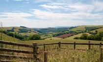 Bluetongue warning to Welsh farmers  