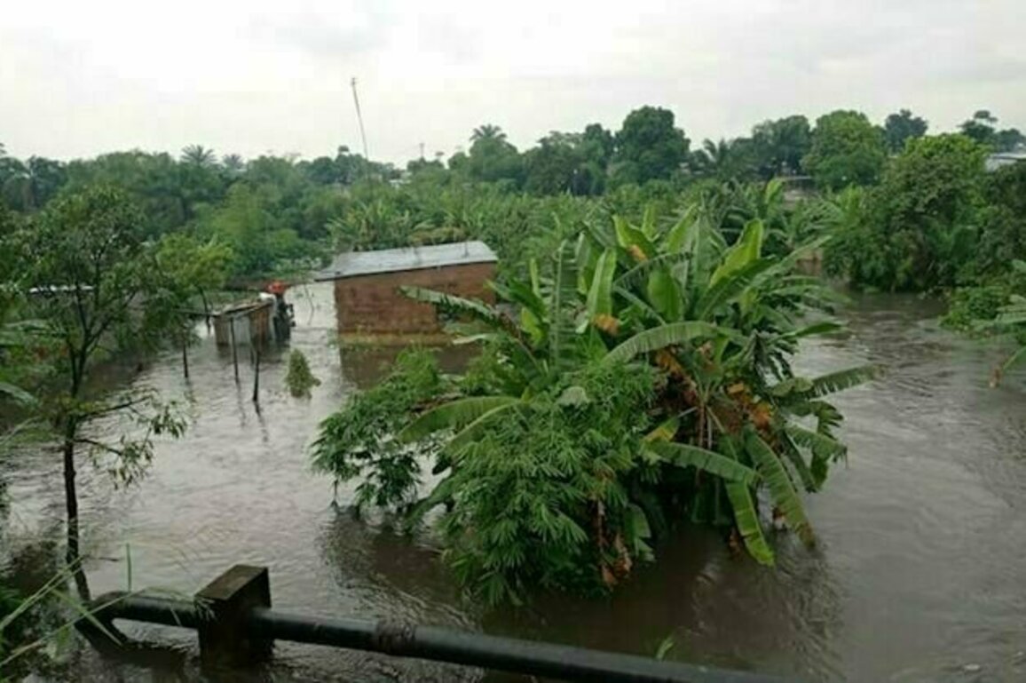 Kinshasa sous l'eau : comment l'urbanisation aggrave les inondations