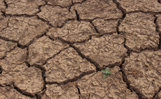 Study: Corporates concern over El Niño impacts at highest level since 2019