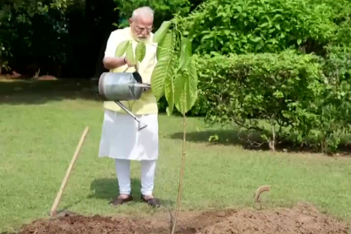 PM Modi plants Kadamb sapling gifted by King Charles on his birthday