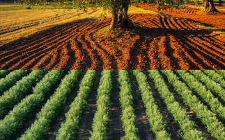 Partner Insight: Navigating Today's Markets with High Quality Experience