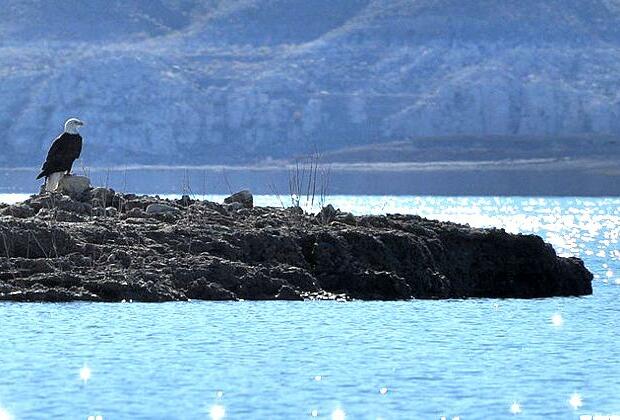 Lake Mead, near Las Vegas, falls due to drought, revealing bodies