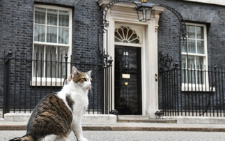 Heatwave impacts, change at Number 10, and reflections on London Climate Action Week