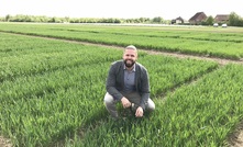  Kai Voss-Fels in wheat trial field.