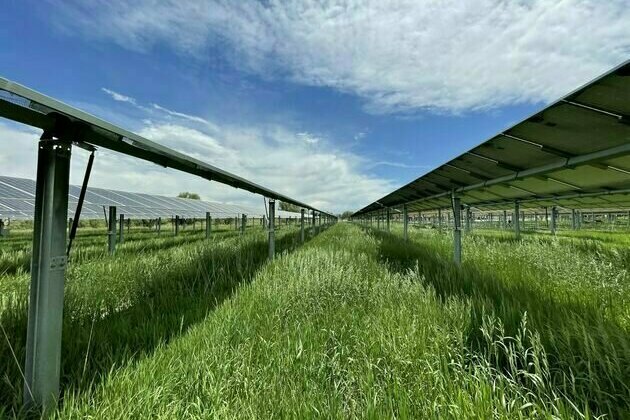 Solar arrays help boost Colorado grassland productivity in dry years