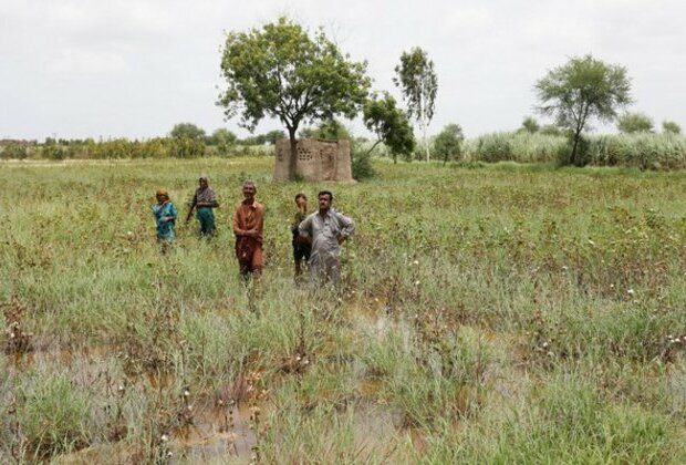 Pakistan: Police arrests several farmers amid protests against wheat procurement policy