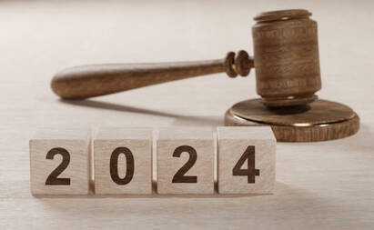 Financial regulation and the 2024 US election