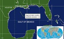 Junior plans to stay in Gulf of Mexico 