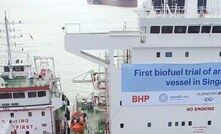 BHP investigates biofuel for shipping 