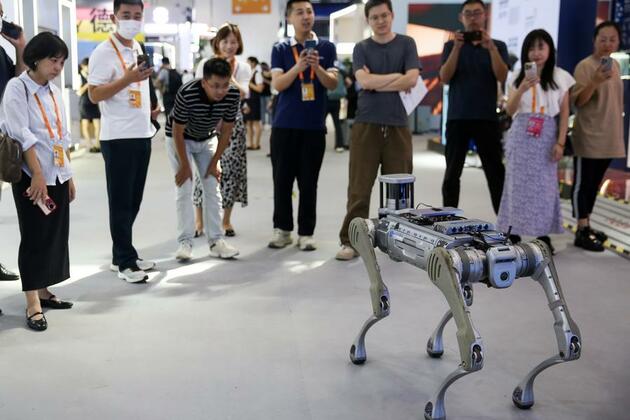 Robotic dogs patrol Beijing park